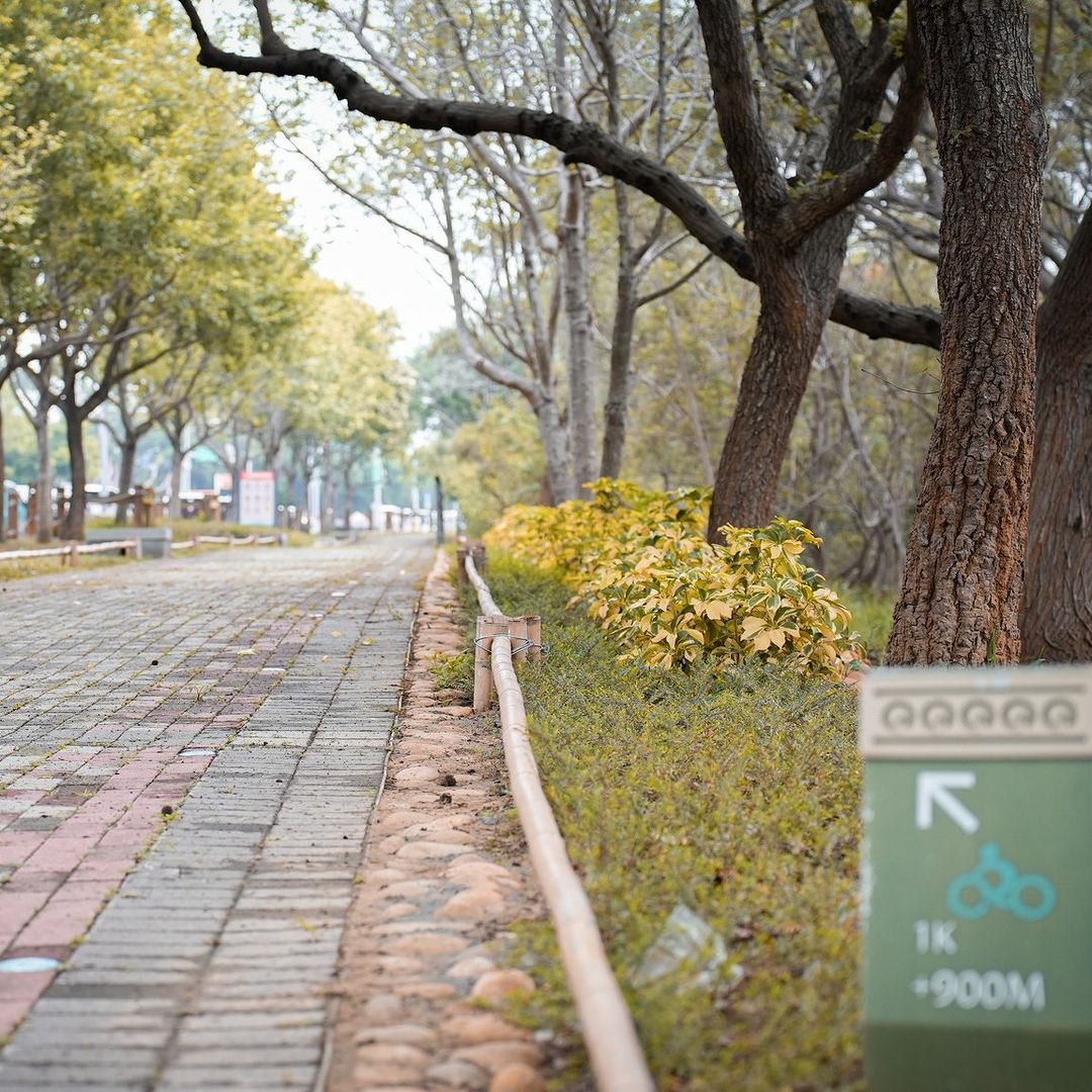 騎乘自行車探索都市之美🌳位於中部科學園區內集結了許多高科技廠區進駐,周圍佈滿大片綠植道路且兼顧生態保育。