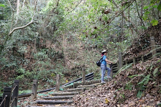 ✨好消息 好消息✨