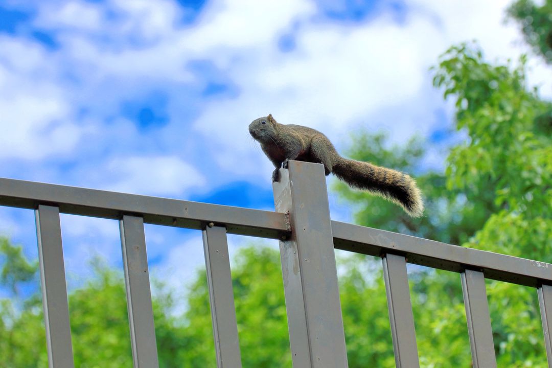 🎨🌟**步道升级,焕然一新!**
