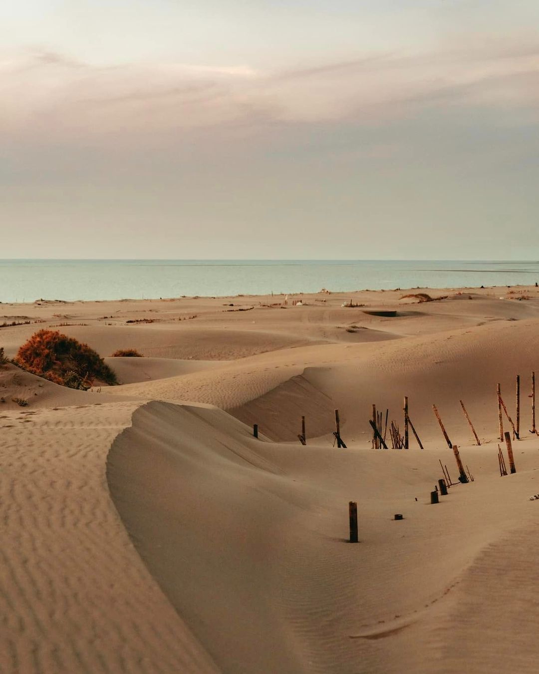 台中新印象,享受夕阳余温的沙丘秘境