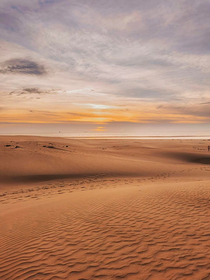 \ 台中新印象✨享受夕阳余温的撒哈拉沙漠之地 /