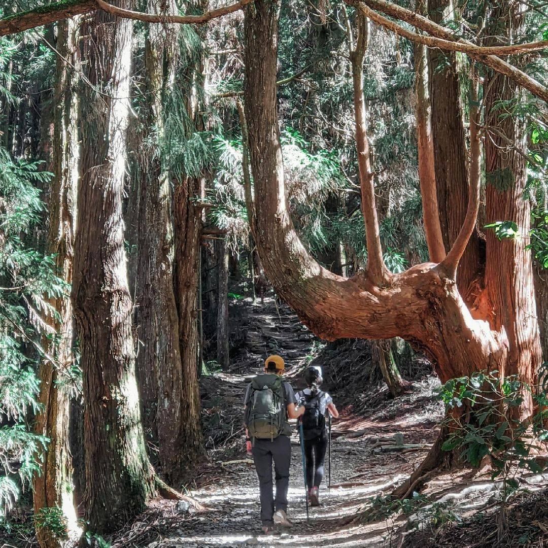 \走访 #马仑山步道,远眺谷关山峦美景尽收眼底/