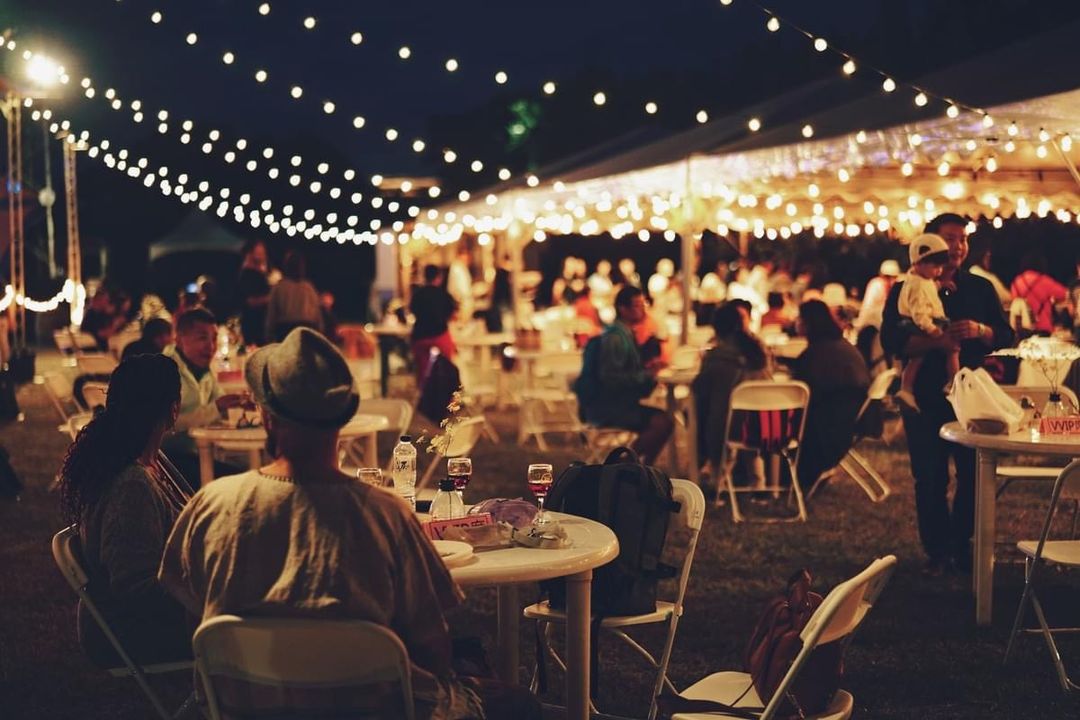 \打开五感,听一场 ღ 音乐与醇厚红酒交织的草地嘉年华🎶🌄/