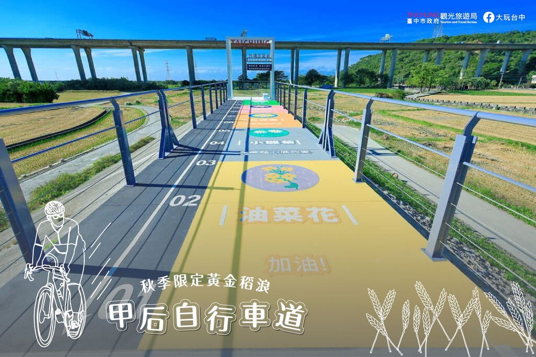 \ 掀开大自然的诗篇~2024最後一波忘忧美景🌾 /