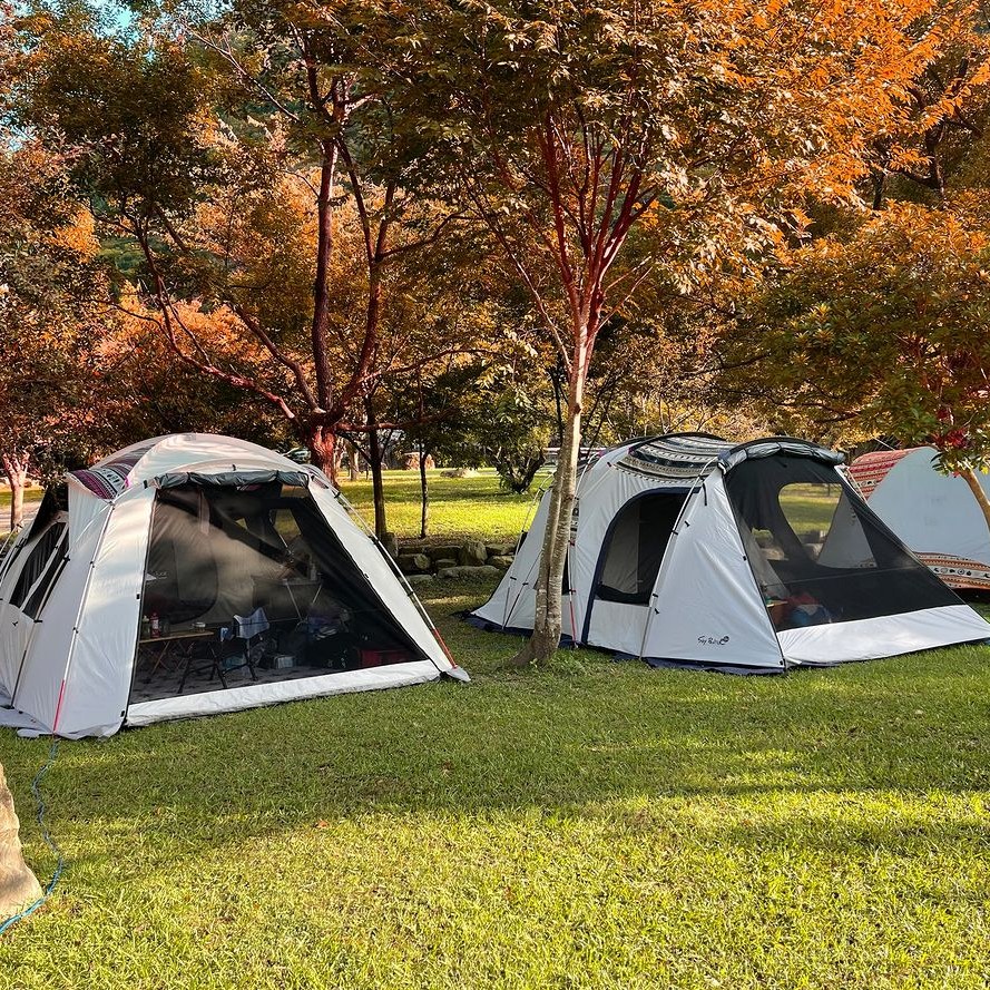 \ 冬季露营趣,台中优美合法露营区🏕️ /