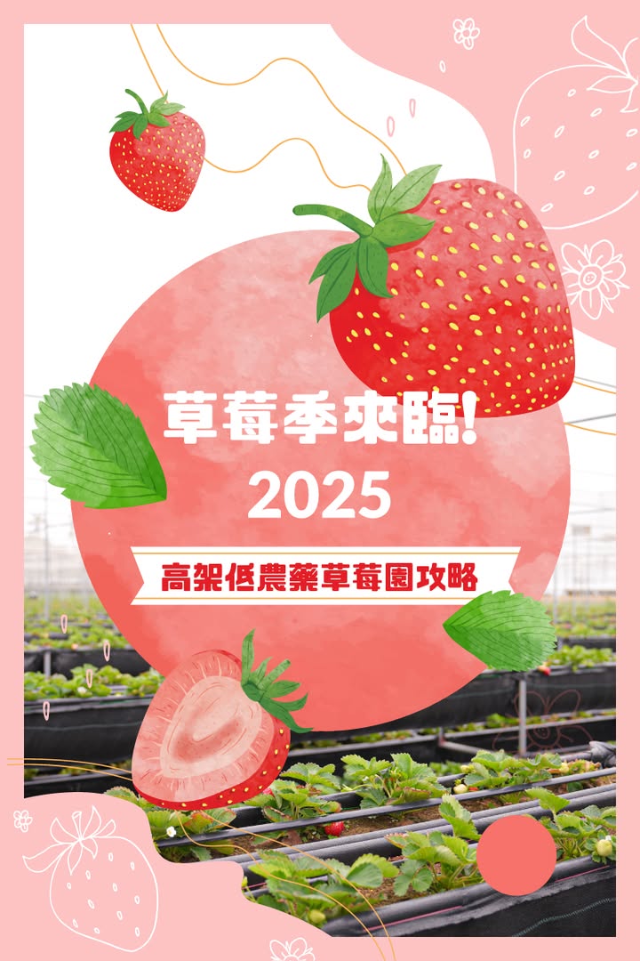 2025年草莓季来临🍓高架低农药草莓园攻略
