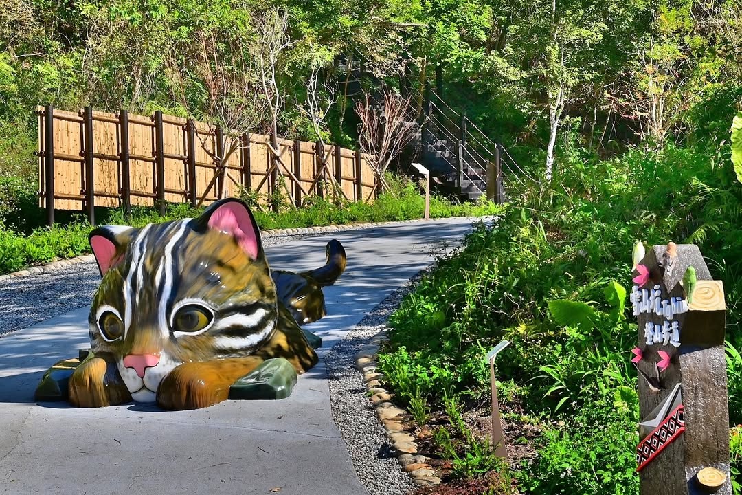 ✨千呼万唤始出来~雪山坑环线步道开工啦✨