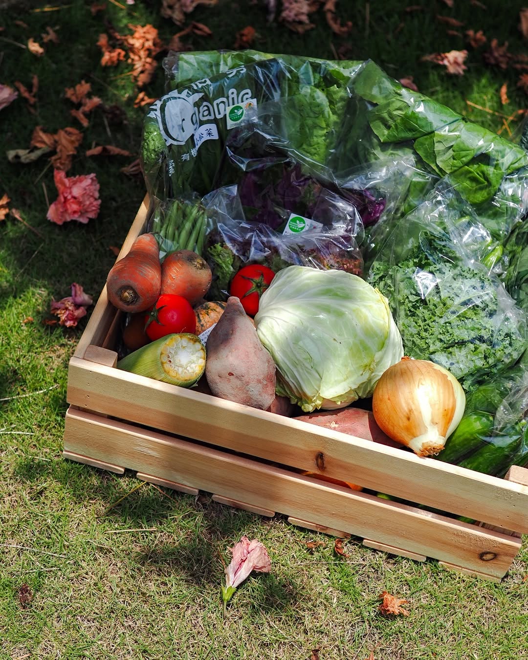 \綠色生活懶人包,一起從台中永續好店開始吧!/