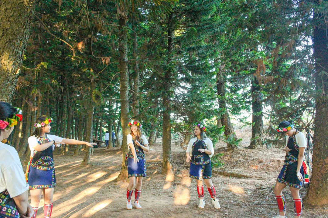 ＼台中秘境探险一日游：秘境森林🌳 X 在地美食🥢 X 书香与农场之旅📚 ／