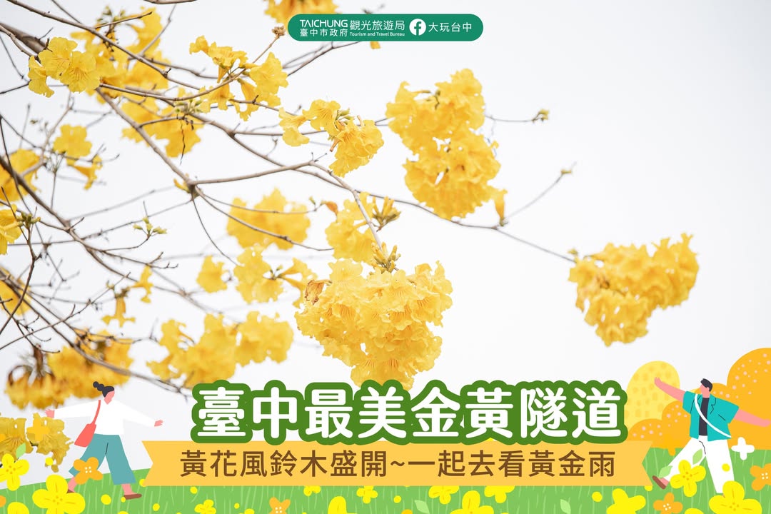 \陪你一起去看黄金雨💫 台中最佳赏花地点/
