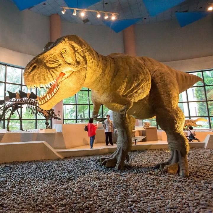 ＼恐龍迷集合！台中恐龍特搜景點大公開🦖／