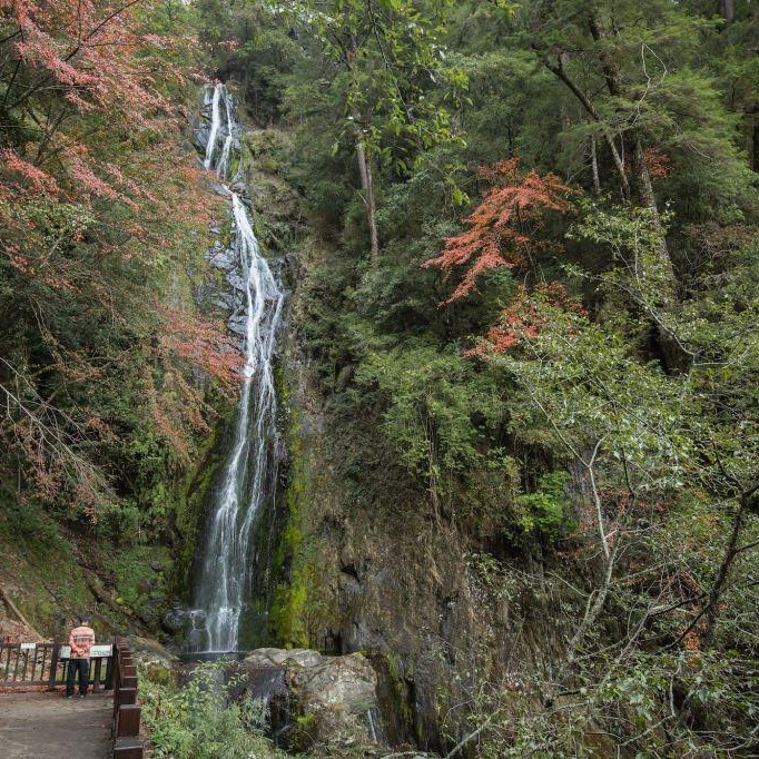 \ 台中三大瀑布清單,納入你的夏日計畫✔️瀑布輕旅行/