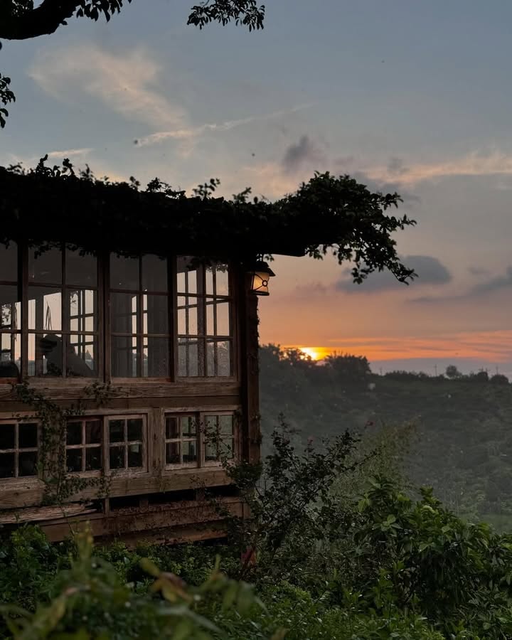 \ 臺中3間秘境美食空間🌲走進森林系餐桌的美味時光 /