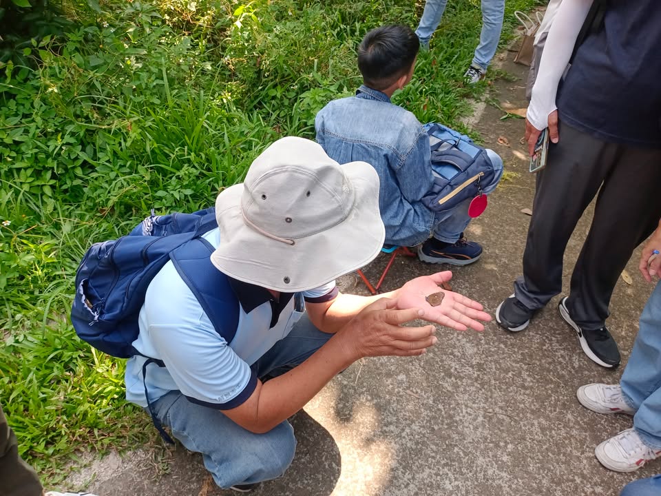 臺中市風景區管理所攜手「台灣紫斑蝶生態保育協會」,推動大坑生態園區友善生物多樣性計畫