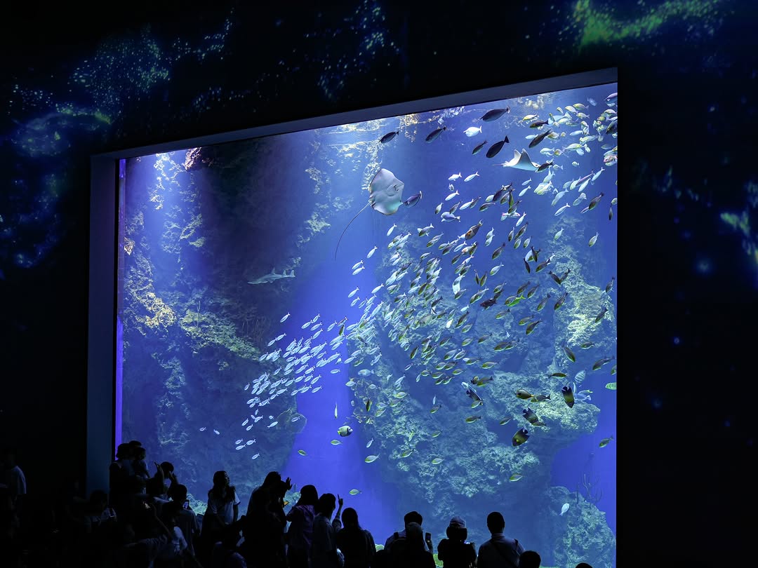 海底世界一次收錄 🐧台中海洋館必拍必逛