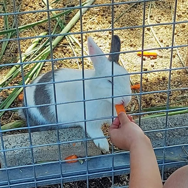 🍂走進農場和田野,台中3大親子休閒好去處!