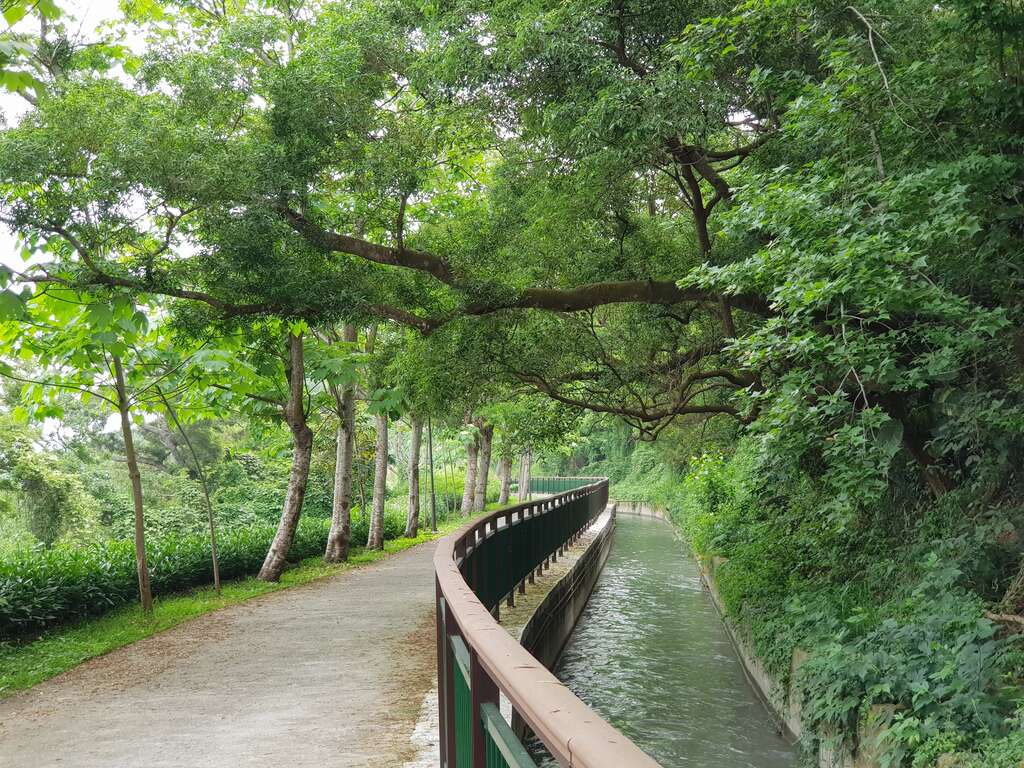 秋風裡的收成季，台中最純粹的幸福滋味🍂