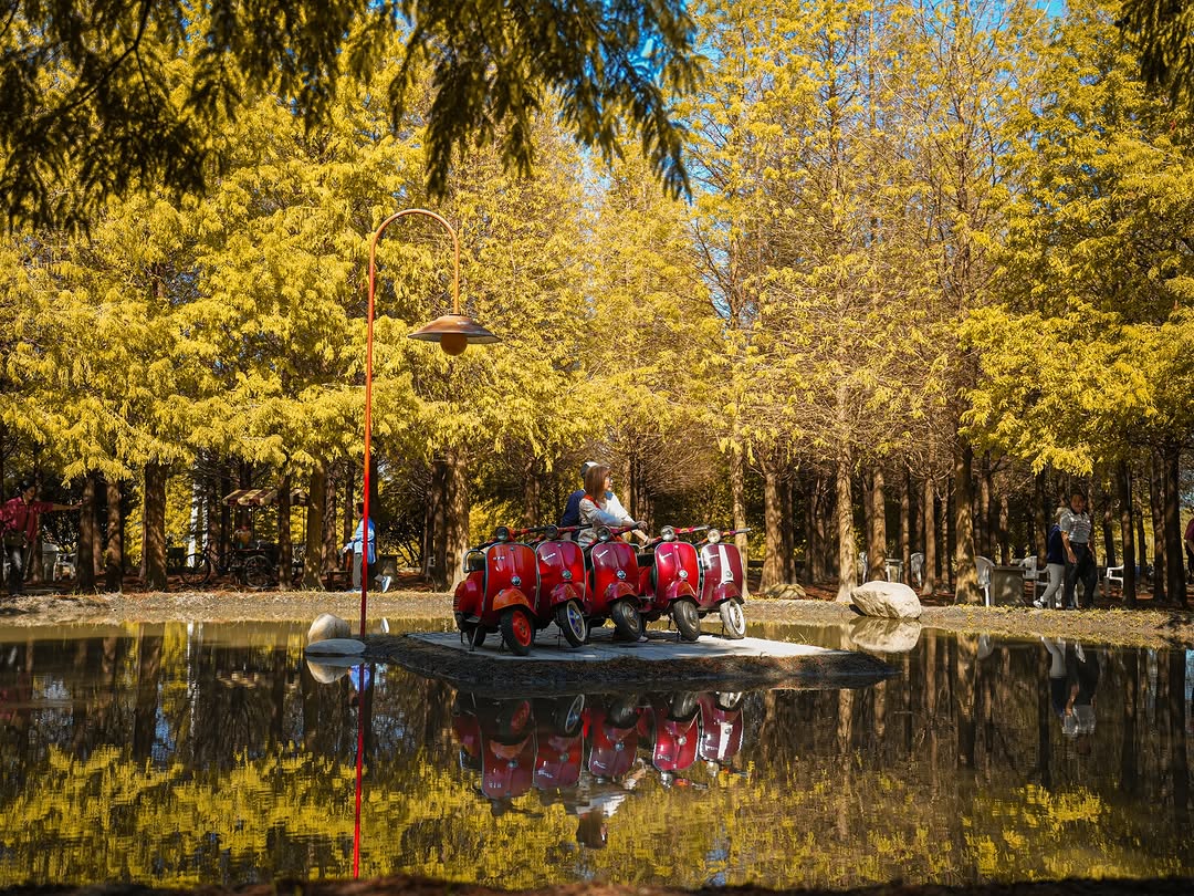 紅葉之間收藏城市的暖色，落羽松紅葉的巡禮之旅