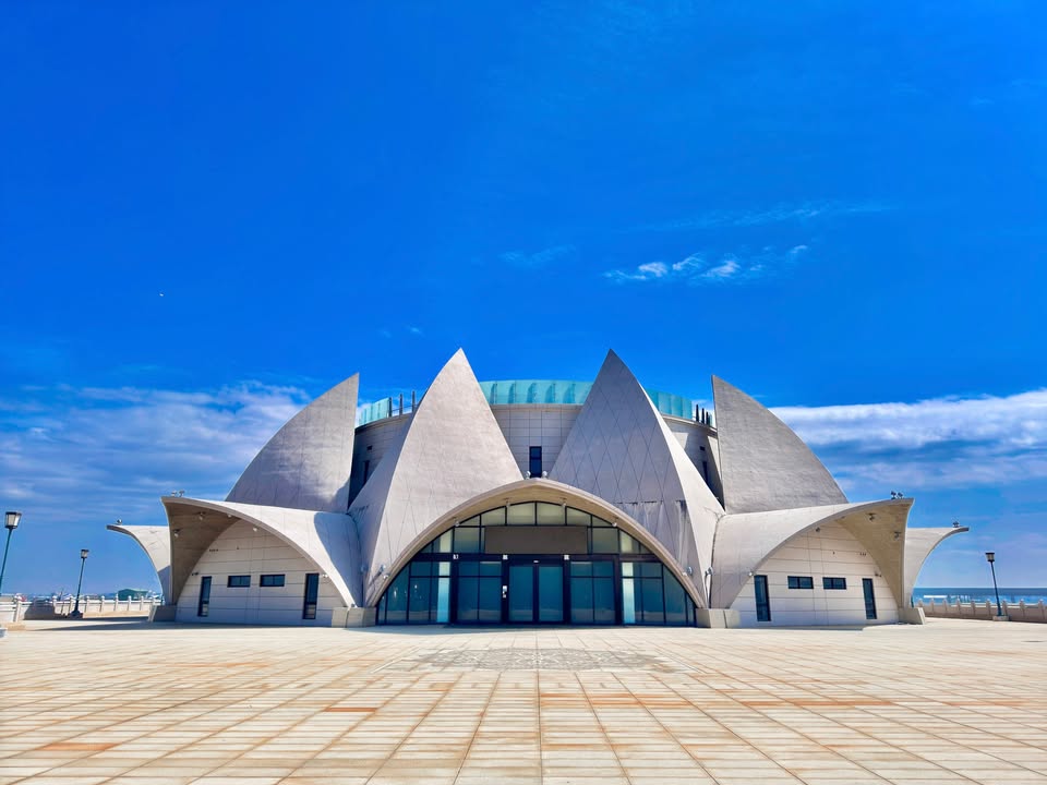 🌊✨ 大安港妈祖文化园区释出最大商机!