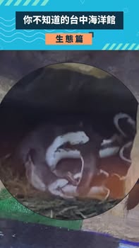 最近馆内气氛甜甜的💕