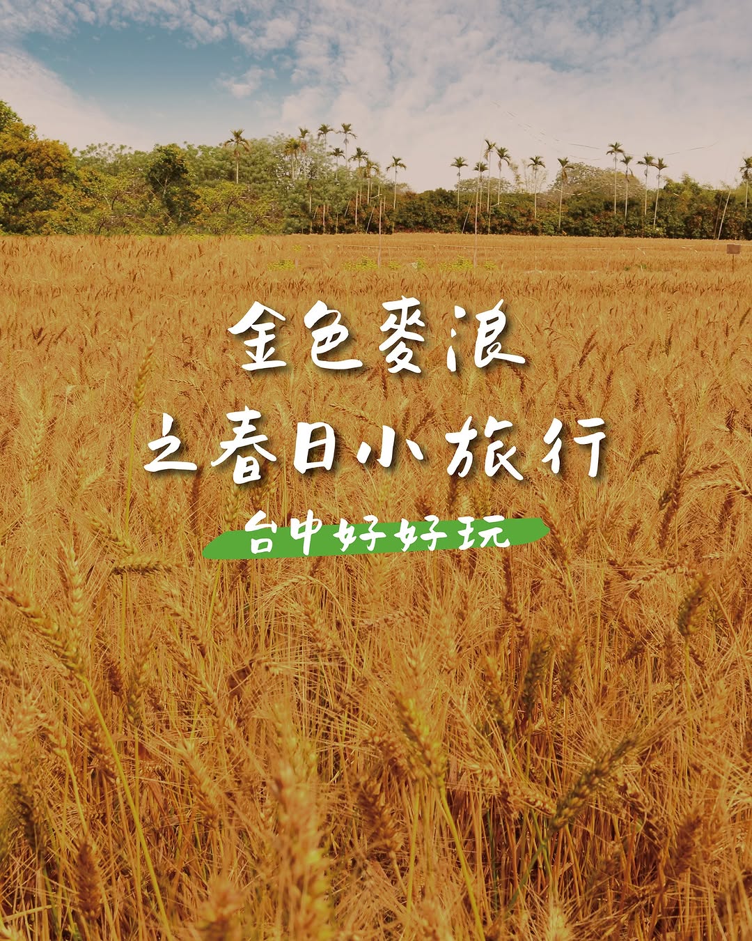 三月限定美景🌾跟着 #玩编 玩透大雅顺游地图 ✨