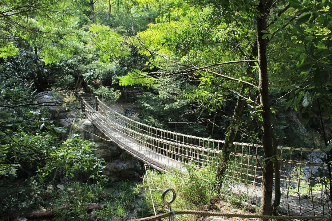 🌿走進和平山林，把美好留下、把足跡帶走🌿