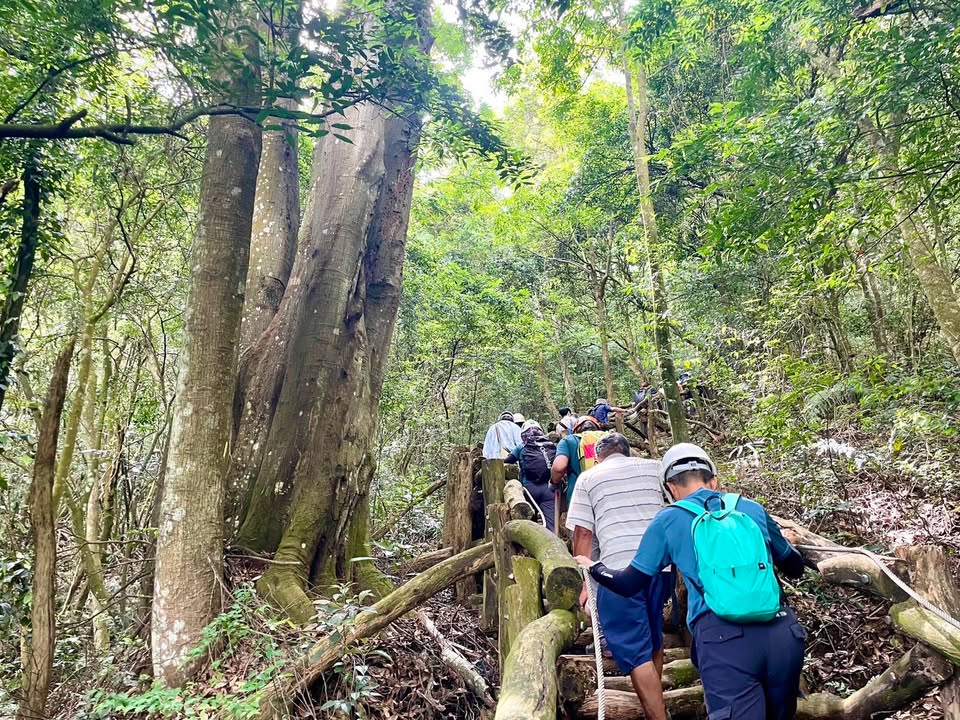 🌿 手作步道,不只是修路,更是一種與土地共好的生活方式。