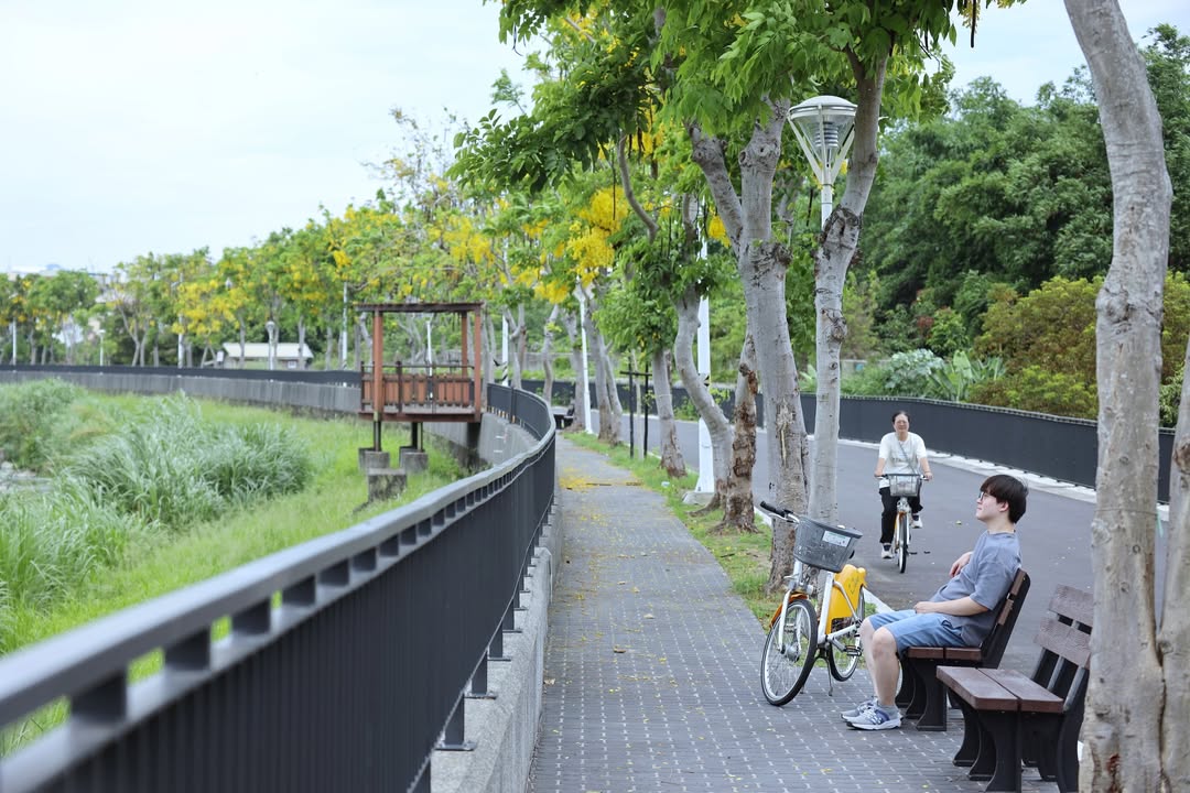 🌼🚶♀️【旱溪豐原阿勃樂道正式亮相!一起漫步金黃花海廊道✨】🚴♂️🌳