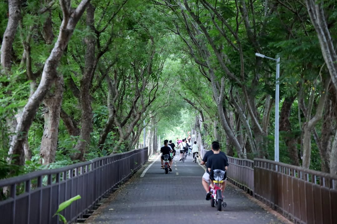 暑假到來，想找個適合全家大小一起運動、親近大自然的好去處嗎？台中市熱門自行車路線「東豐自行車綠廊」完成設施優化工程囉！