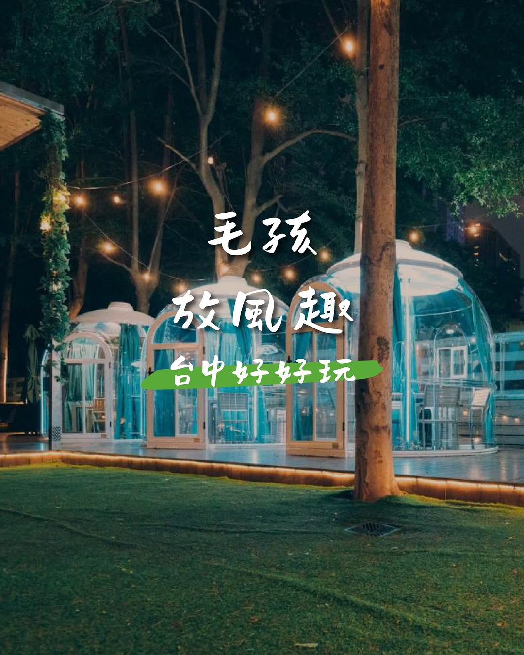 🐾 台中毛孩地圖|推薦友善寵物場所