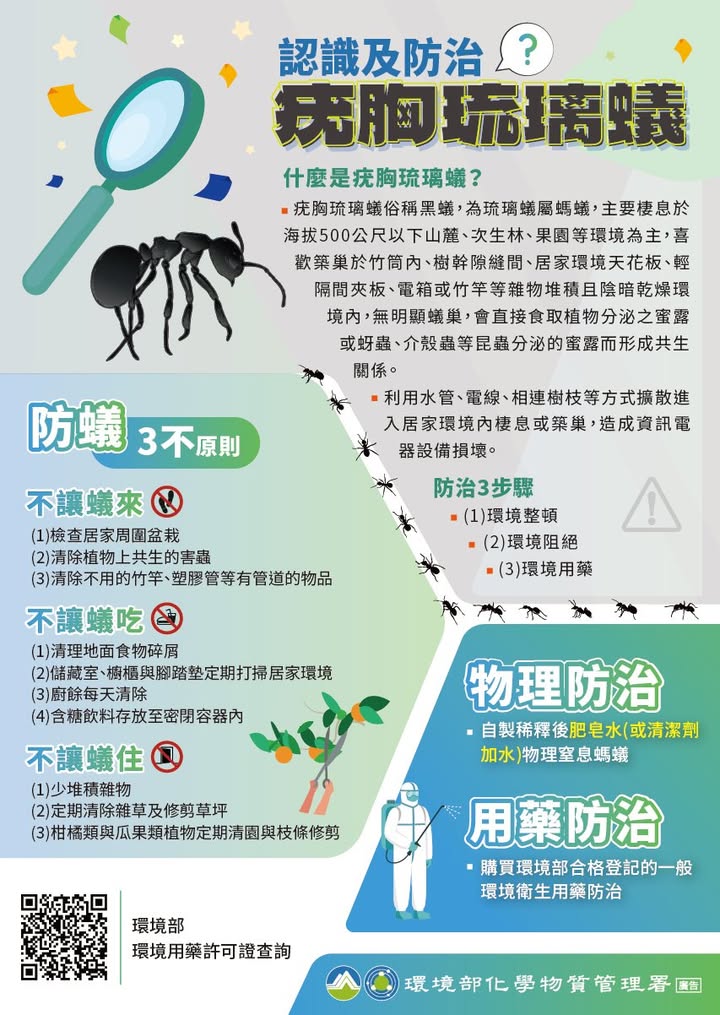 📢 夏日出遊小提醒!認識疣胸琉璃蟻,一起守護戶外環境 🌿🐜