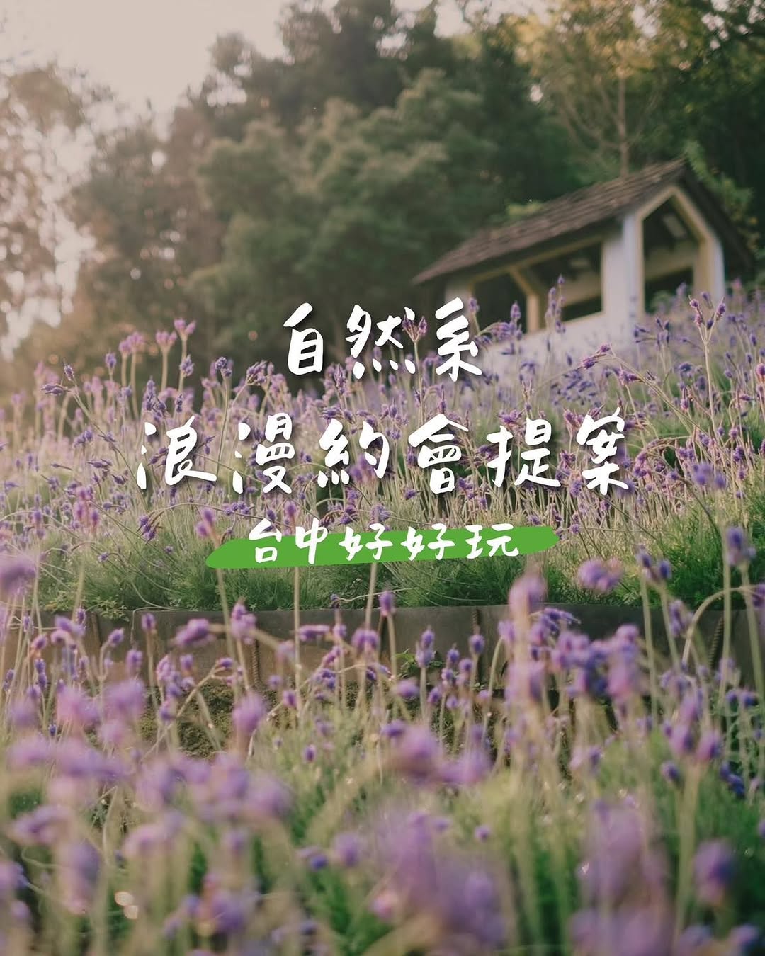 🌿 台中約會提案|自然系約會地點