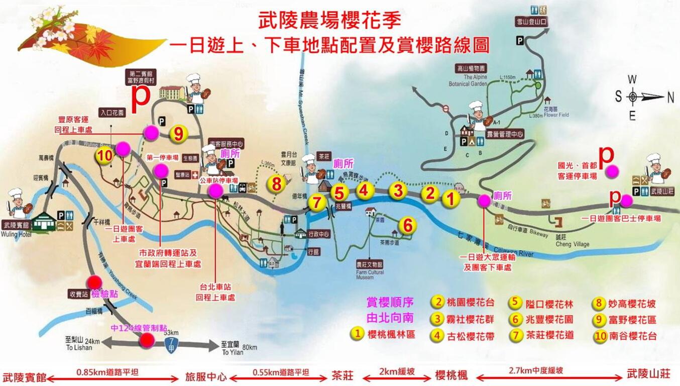 武陵農場櫻花季