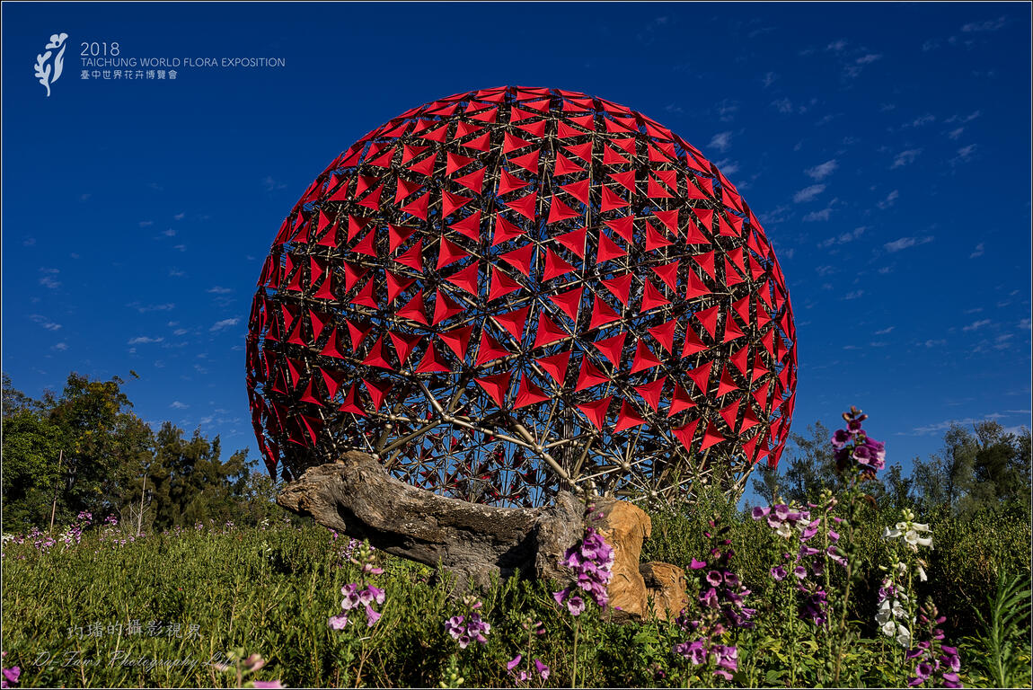 聆听花开的声音