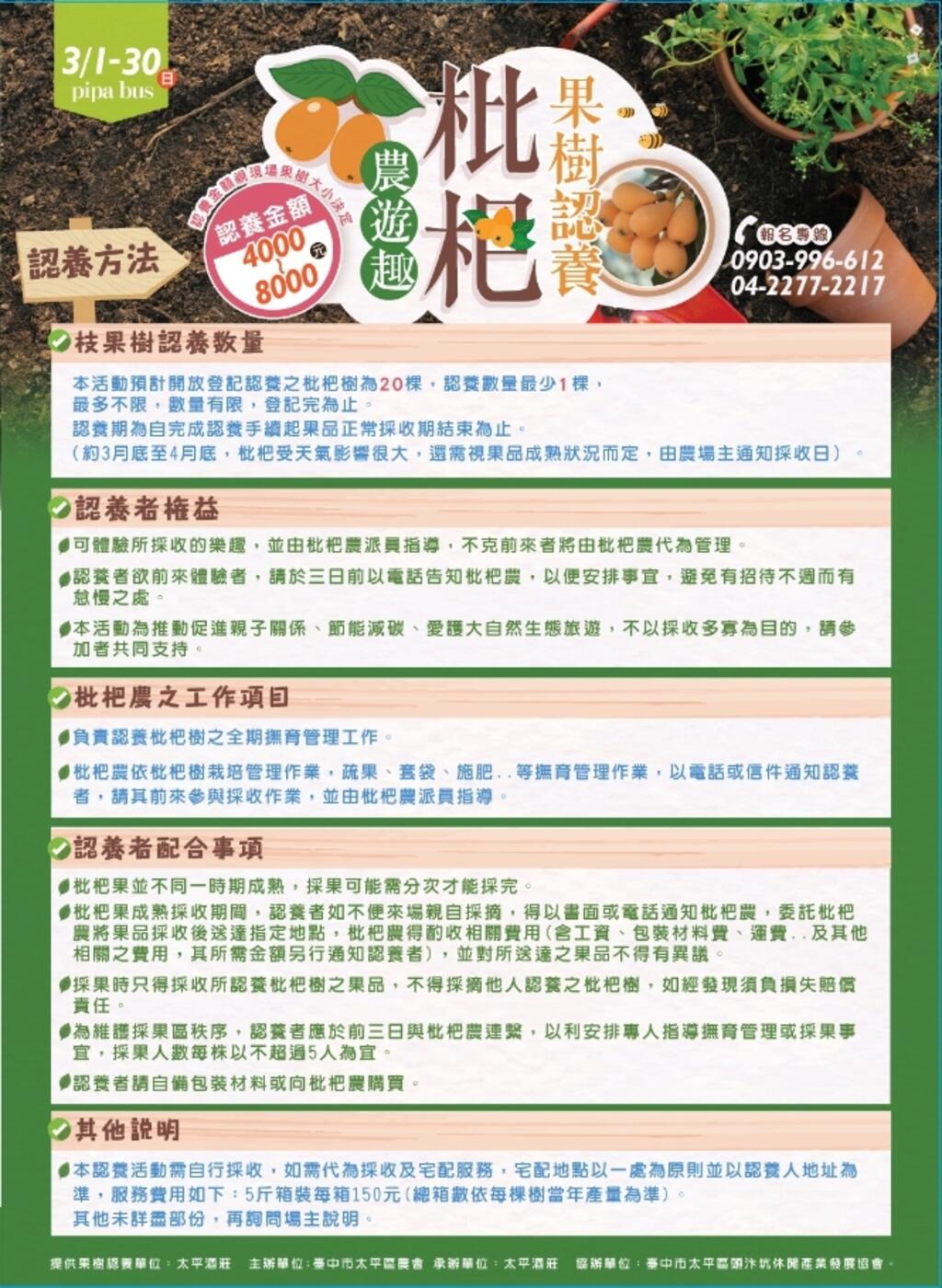 春遊太平 枇杷樹果樹認養