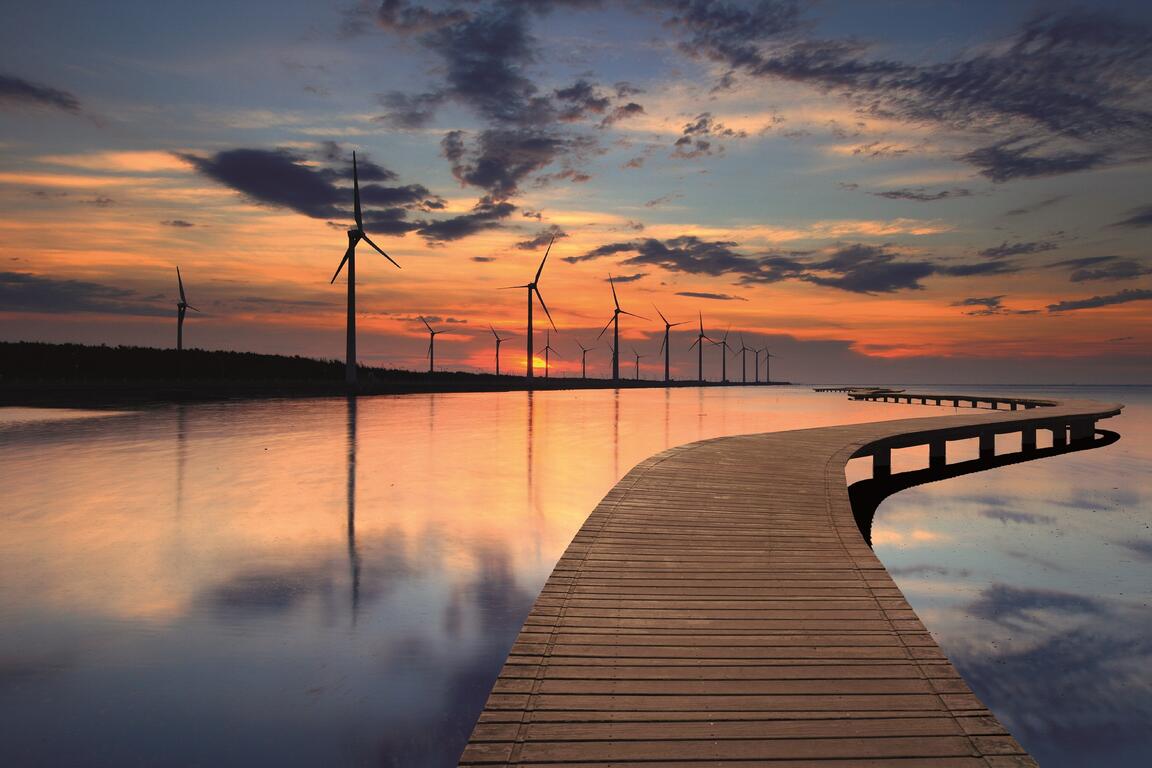 高美濕地-有木棧道