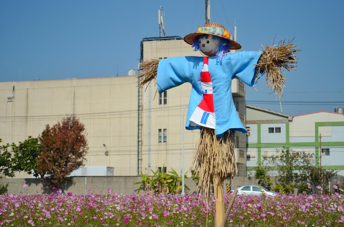 2020年春節去哪裡？台中景點報你知！(賞花篇)