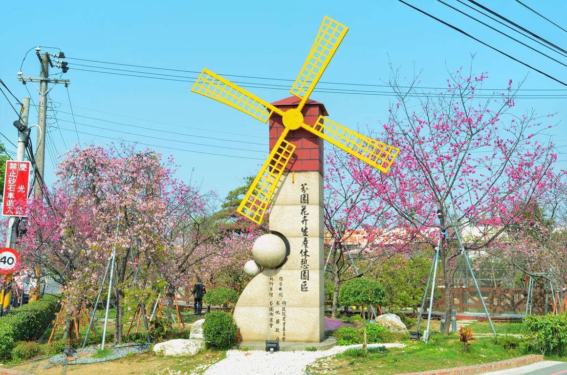 连假来一趟浪漫粉色之旅，台中樱花景点大公开！