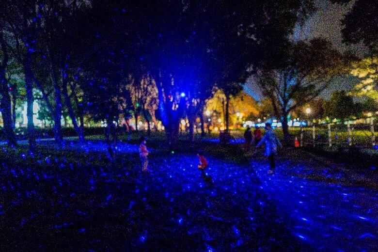 풍원야색(펑위엔의 밤빛깔)