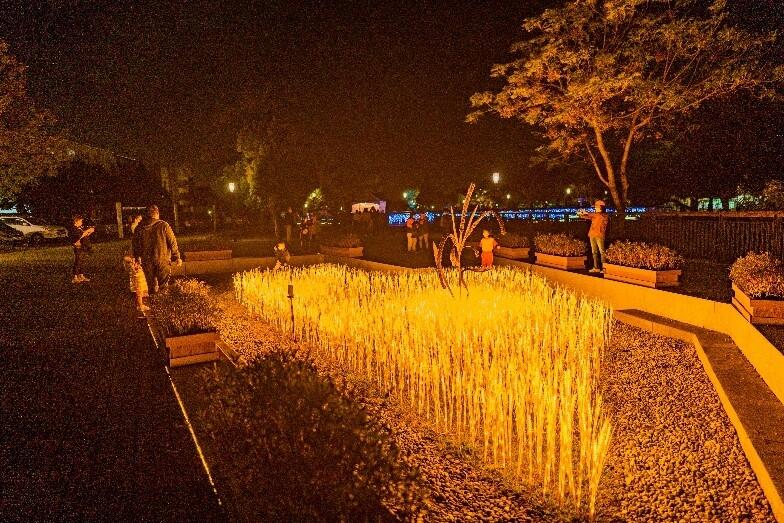 풍수(풍성한 수확)