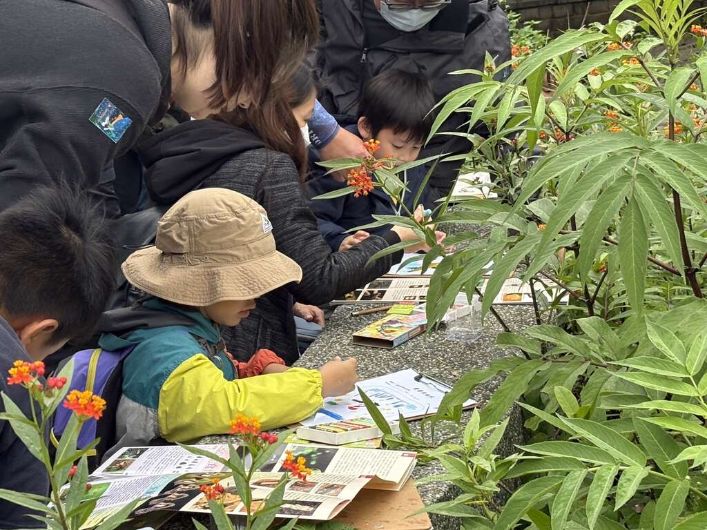 2026 다컹 나비 & 반딧불이 축제